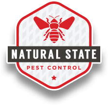 Natural Pest Control And Home Remedies