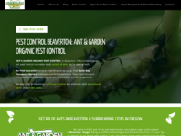 Eradicating Pests From Ilford: Superior Pest Control Services