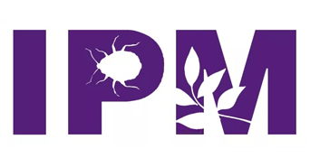 Pest Control – What You Need to Know About Pest Control Romford and Beyond