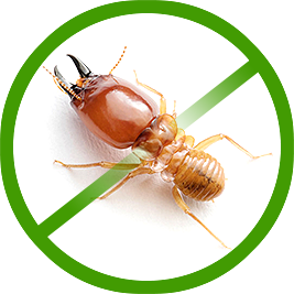 Pest Control Southend – Stop Insecticides From Decimating Your Home
