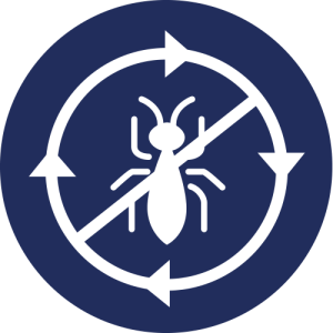 Pest Control: Keeping Your Home Safe in Southend